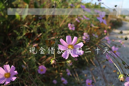 现金借款逾期二十天 现金借款逾期二十天