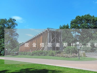 现金借款逾期什么流程 现金借款逾期什么流程