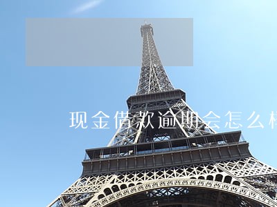 现金借款逾期会怎么样最新 现金借款逾期会怎么样最新
