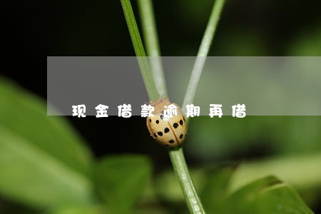 现金借款逾期再借 现金借款逾期再借