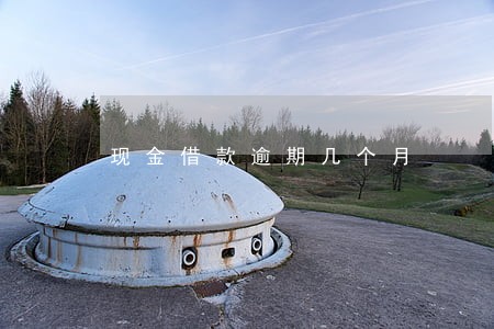 现金借款逾期几个月 现金借款逾期几个月