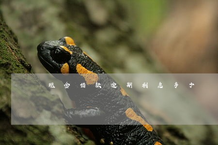 现金借款逾期利息多少 现金借款逾期利息多少