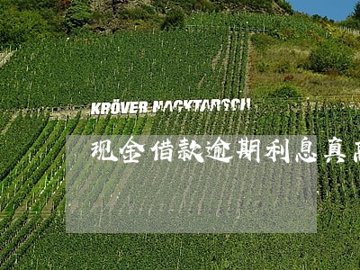 现金借款逾期利息真高 现金借款逾期利息真高