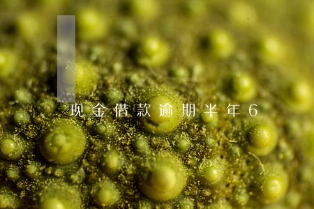 现金借款逾期半年6