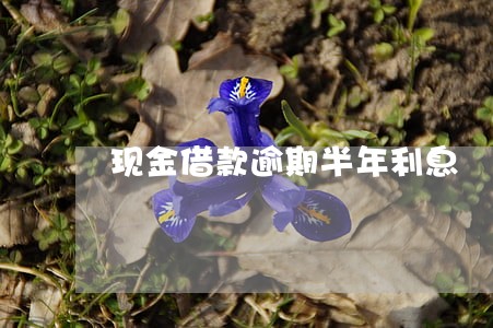 现金借款逾期半年利息 现金借款逾期半年利息