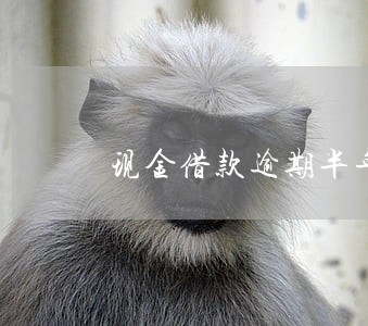 现金借款逾期半年多了 现金借款逾期半年多了