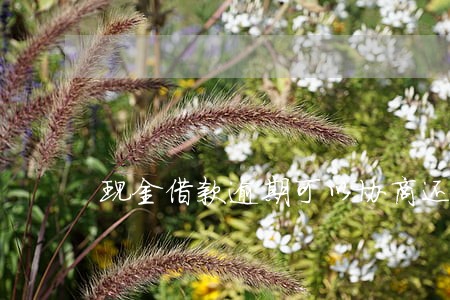 现金借款逾期可以协商还本金吗