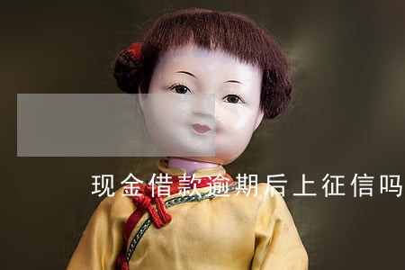 现金借款逾期后上征信吗