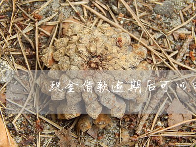 现金借款逾期后可以申请减免吗 现金借款逾期后可以申请减免吗