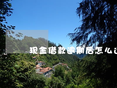 现金借款逾期后怎么还钱