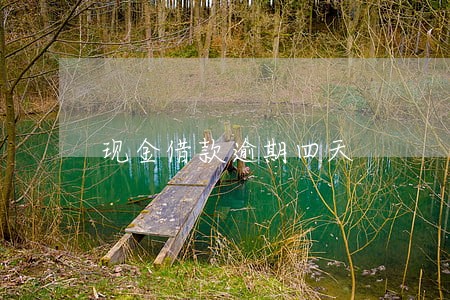 现金借款逾期四天 现金借款逾期四天