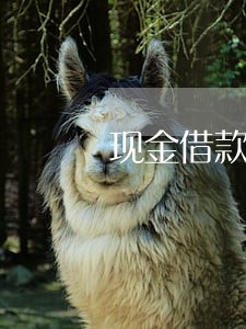 现金借款逾期在借要多久 现金借款逾期在借要多久