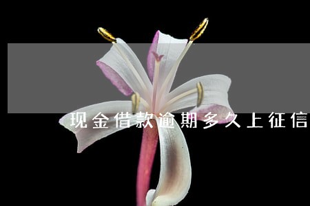 现金借款逾期多久上征信吗