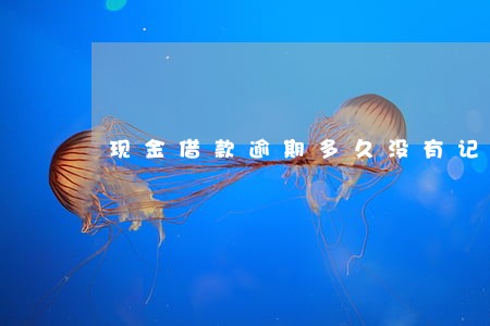 现金借款逾期多久没有记录
