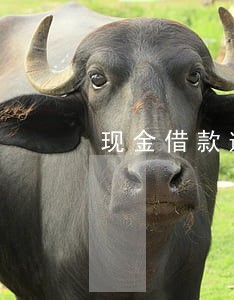 现金借款逾期多久爆通讯