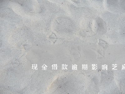 现金借款逾期影响芝麻分吗