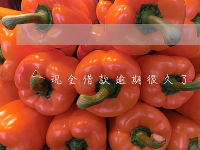 现金借款逾期很久了 现金借款逾期很久了