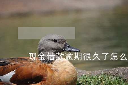 现金借款逾期很久了怎么还款 现金借款逾期很久了怎么还款