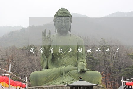 现金借款逾期快两年了