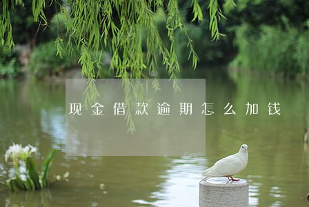 现金借款逾期怎么加钱