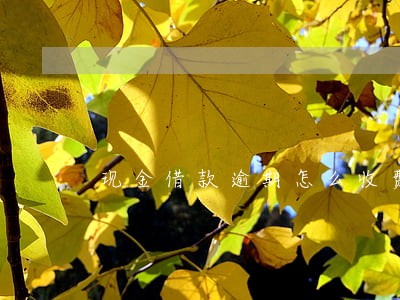 现金借款逾期怎么收费 现金借款逾期怎么收费