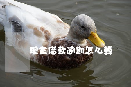 现金借款逾期怎么算 现金借款逾期怎么算