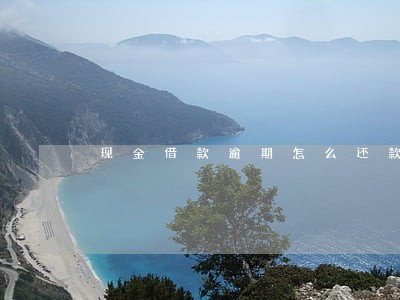 现金借款逾期怎么还款 现金借款逾期怎么还款