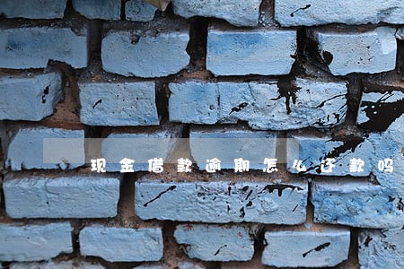 现金借款逾期怎么还款吗 现金借款逾期怎么还款吗