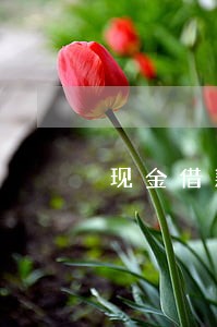 现金借款逾期政策