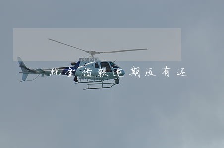 现金借款逾期没有还 现金借款逾期没有还