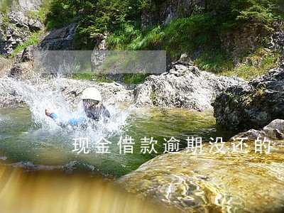 现金借款逾期没还的