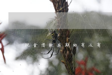 现金借款逾期的有没有 现金借款逾期的有没有