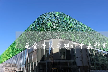 现金借款逾期订单去哪里查 现金借款逾期订单去哪里查