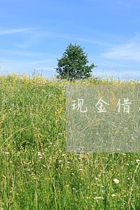 现金借款逾期记录 现金借款逾期记录