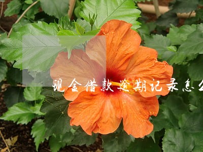 现金借款逾期记录怎么取消 现金借款逾期记录怎么取消