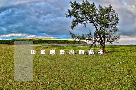 现金借款逾期贴子 现金借款逾期贴子