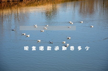 现金借款逾期费多少 现金借款逾期费多少
