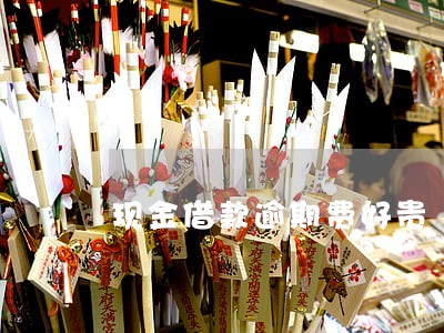 现金借款逾期费好贵 现金借款逾期费好贵