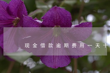 现金借款逾期费用一天十几块 现金借款逾期费用一天十几块