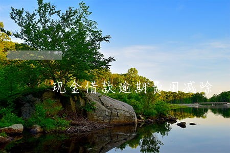 现金借款逾期费用减除 现金借款逾期费用减除