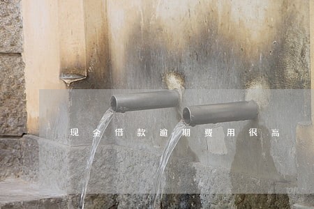 现金借款逾期费用很高 现金借款逾期费用很高