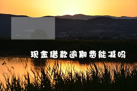 现金借款逾期费能减吗 现金借款逾期费能减吗