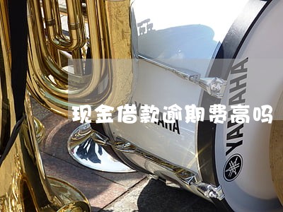 现金借款逾期费高吗 现金借款逾期费高吗