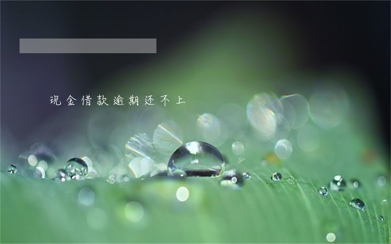 现金借款逾期还不上 现金借款逾期还不上