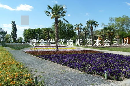现金借款逾期还本金可以吗 现金借款逾期还本金可以吗