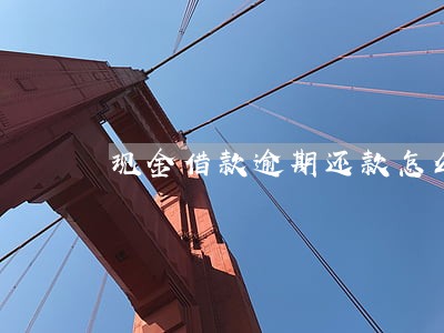现金借款逾期还款怎么 现金借款逾期还款怎么