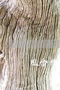 现金借款逾期还能借出来吗 现金借款逾期还能借出来吗