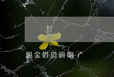 现金借贷逾期了 现金借贷逾期了
