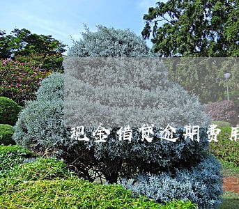 现金借贷逾期费用 现金借贷逾期费用