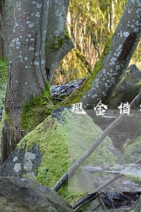 现金借钱快逾期